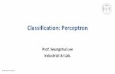 Classification: Perceptron · Iterations of Perceptron 1. Randomly assign 𝜔 2. One iteration of the PLA (perceptron learning algorithm) where Ὄ , Ὅis a misclassified training