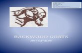 BACKWOOD GOATS Goats Supply Catalog...Fortified Vitamin B Complex Gel For use as a supplement source of Vitamin B Complex in goats, sheep and calves. Provides high levels of Thiamine,