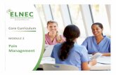 3 Pain Module · 2019-04-19 · NCP, 2018. Core Goals of Pain Management ... 80% experience acute unrelieved postoperative pain 25% of residents in nursing homes receive no ... Cancer