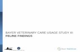 Bayer Veterinary Care Usage Study: Seven Ways to build ......Bayer Veterinary Care Usage Study III: Feline Findings ©2012 Bayer HealthCare 45 . What Veterinarians Can Do Now To Increase