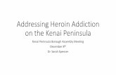 Addressing Heroin Addiction on the Kenai Peninsula · The other reduction of harm measure being proposed in Homer is a syringe exchange program. By providing free sterile needles
