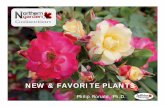 NEW & FAVORITE PLANTS - JEFFRIES NURSERIES · Oscar Peterson® Rose Introduced in 2016, honors renowned Canadian jazz musician •Whtei, sem-i double flowers • 4” in diameter