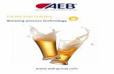 For the beer industry Brewing process technology...fermentation latency, availability after 30 min. of rehydration. Powder Fermoale AY2 Fermoale AY2 is a particular yeast strain applied