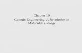 Chapter 10 Genetic Engineering: A Revolution in Molecular ...classpages.warnerpacific.edu/SRamos/BIO370 lectures/Lecture 10... · Methods in Recombinant DNA Technology •Recombinant