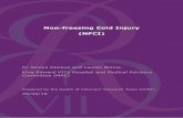 Non-freezing Cold Injury (NFCI) - WordPress.com · 2018-06-28 · Cold weather injuries (CWI) produce a spectrum of cold-related disorders , including hypothermia, freezing cold injury