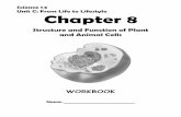 Science 14 Unit C: From Life to Lifestyle Chapter 8 · 6 8.2 – Cell Theory pp. 164-165 Organization of Life (cell hierarchy) Atom – smallest unit of matter for both living and