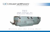 High Voltage AC Induction Motors · and BS 4999 Part 22 Code 11. The standard arrangements available are horizontal foot mounting IM 1001 and vertical flange mounting IM 3001. The