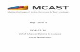 MCAST Advanced Diploma in Insurance Course Specification · the designation Cert CII. Through the review of the programme delivered by MCAST (now a two-year Level 4 programme), a