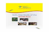 NSDC Skill Gap Study of the North East - Manipur - SGR.pdf · NSDC Skill Gap Study of the North East - Manipur 3 About National Skill Development Corporation National Skill Development