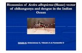 Bionomics of Aedes albopictus(Skuse) vector of chikungunya and … · 2015-05-29 · Conclusion ¾20to30°C:the most favourablerange for Ae albopictus development of Short trophogonic