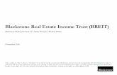 Blackstone Real Estate Income Trust (BREIT) Real Estate...Blackstone Real Estate Income Trust, Inc. (BREIT) is a non-traded REIT that seeks to invest in stabilized commercial real