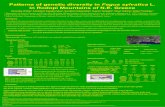 Patterns of genetic diversity in Fagus sylvatica · [6] Weising K, Gardner RC (1999) A set of conserved PCR primers for the analysis of simple sequence repeat polymorphisms in chloroplast