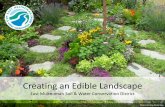 Creating an Edible Landscape...Why create an edible landscape? Eat fresh food! Know how it’s grown Family time Connect to nature & food systems Build resilient communities