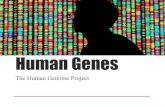 Human Genes - WordPress.com · 1/4/2018  · Film Reflection Reflection homework, typewritten in short bond paper Questions: 1. The film opens with 2 opposing statements: “Consider