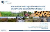 EIB in action: realizing the commercial and environmental ... · afforestation, forest rehabilitation, erosion control, forest fire prevention/mitigation and implementation of RDPs