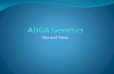 Tips and Tricks - adgagenetics.org Genetics Tips and Tricks.pdfGeneral Tips and Tricks Common query filters Remembering query filter values Clickable registered names Wildcard use