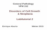 Disorders of Cell Growth & Neoplasia Lab/tutorial 2people.upei.ca/eaburto/Neoplasia-Lab2/Neopl-Lab2-15.pdf · 1.Give a morphologic diagnosis. 2. What kind of local effect is commonly