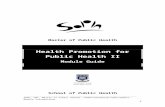 Health Promotion Diploma - University of the Western Cape · Web viewASSIGNMENTS FOR HEALTH PROMOTION FOR PUBLIC HEALTH II . ASSIGNMENT 1: THEORETICAL APPROACHES TO HEALTH PROMOTION