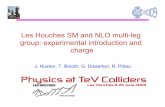 Les Houches SM and NLO multi-leg group: experimental ... · Les Houches SM and NLO multi-leg group: experimental introduction and charge J. Huston, T. Binoth, G. Dissertori, R. Pittau