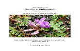 The Status of Bodin’s Milkvetch - Newfoundland and Labrador · The Status of. Bodin’s Milkvetch (Astragalus bodinii) in Newfoundland and Labrador. Photo: John E. Maunder . THE