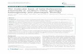 RESEARCH ARTICLE Open Access The molecular basis of beta ... · The molecular basis of beta-thalassemia ... aaaanti-3.7 triplication and one carried a dominant mutation; ... clinical