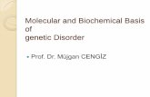 Molecular and Biochemical Basis of genetic Disorder194.27.141.99/dosya-depo/ders-notlari/mujgan-cengiz/Molecular and... · Molecular and Biochemical Basis ... * Molecular reason of