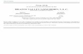 BVL 3Q19 Form10-Qfilecache.investorroom.com/mr5ir_chk/514/download/BVL Q3 2019 Form 10-Q.pdfTitle: BVL 3Q19 Form10-Q Created Date: 20191160818
