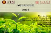 Aquaponic - Universiti Teknologi Malaysia · Nutrient Film Technique (NFT) drain A commonly used hydroponic method, but is not as common in aquaponic systems. Nutrient rich water