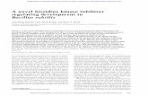 A novel histidine kinase inhibitor regulating development ...genesdev.cshlp.org/content/11/19/2569.full.pdf · Kinase A is the sensor histidine kinase responsible for processing postexponential