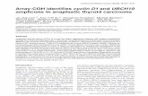 Array-CGH identiﬁes cyclin D1 and UBCH10 amplicons in ... · Array-CGH identiﬁes cyclin D1 and UBCH10 amplicons in anaplastic thyroid carcinoma Jia-Jing Lee1,2, Amy Y M Au3, Theodoros