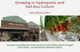 Growing in Hydroponic and Soil-less Culture · Growing in Hydroponic and Soil-less Culture Cary Rivard, KSU Content provided by Chieri Kubota (UA-CEAC), Mark Kroggel ... Hydroponic