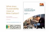 What does Sustainability mean at Birla Carbon? BIRLA MPG... · What does Sustainability mean at Birla Carbon? DR GILLES MONINOT GLOBAL DIRECTOR OF SUSTAINABILITY 16 TH MAY 2016 ...