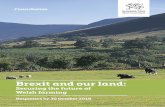 Brexit and our land - GOV.WALES · 4 | Brexit and our land: Securing the future of Welsh farming In our white paper, “Securing Wales’ Future”, we set out our priorities to ensure
