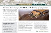 Equine Dentistry: It’s Not Just Floating Anymore...Volume 29 No 4, December 2011 A publication of the Center for Equine Health • School of Veterinary Medicine • University of