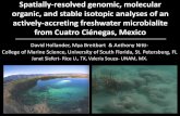 organic, and stable isotopic analyses of an actively ... · organic, and stable isotopic analyses of an actively-accreting freshwater microbialite from Cuatro Ciénegas, Mexico Saturday,