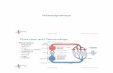 Hemodynamics - Scientific Computing and Imaging …macleod/bioen/be6000/prevnotes/L09...Hemodynamics Bioengineering 6000 CV Physiology Hemodynamics Basics •"The problem of treating