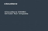 Cloudera ODBC Driver for Impala Installation and ......ImportantNotice ©2010-2019Cloudera,Inc.Allrightsreserved. Cloudera,theClouderalogo,andanyotherproductorservicenamesorsloganscontainedinthis