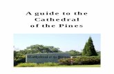 Guide to the Site - Cathedral of the Pinescathedralofthepines.org/wp-content/uploads/2015/10/Guide-to-the-Site.pdfThe pillars of the Memorial Bell Tower are the stones taken by the