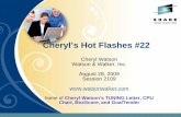 Cheryl’s Hot Flashes #22watsonwalker.s3-us-west-1.amazonaws.com/ww/wp-content/uploads/2016/01/28162531/PR...• If IBM were to allow this, then every vendor would do the same thing,