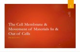 The Cell Membrane & Movement of Materials In & Out of Cellselysciencecenter.com/yahoo_site_admin/assets/docs/... · 2018-03-13 · Categories of Diffusion I Regular Diffusion Movement