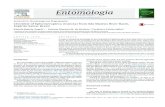 REVISTA BRASILEIRA DE Entomologiainsecta.bio.spbu.ru/z/pdf/AngeliRozarioSalles2015.pdfBrasileira de Entomologia 59 (2015) 197–204 w ww.rbentomologia.com REVISTA EntomologiaBRASILEIRA