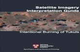Satellite Imagery Interpretation Guide · the pilot phase of the Satellite Sentinel Project (SSP) from December 2010 to the summer of 2012. Through the analysis of satellite imagery