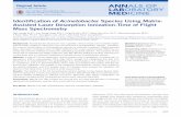Identification of Acinetobacter Species Using Matrix ...identification of Acinetobacter species, MALDI-TOF MS was in-sufficient for species-level identification of Acinetobacter be-cause
