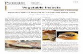 Vegetable Insects - Purdue Extension Entomology · 2018-08-28 · 3 Managing Insects in Commercially Gron Seet Corn EW STALK BORER The stalk borer is a caterpillar that attacks seedlings