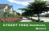 The Seattle Department of Transportation STREET TREE MANUAL · 2017-08-02 · Makes it illegal to damage or destroy a street tree. 2. Prohibits topping, spurring, and attaching signs