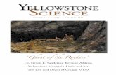 Dr. Steven E. Sanderson Keynote Address Yellowstone ... · of wolf restoration on the park’s cougar population. In our concluding article, art scholar Peter Hassrick writes of one