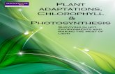 Plant adaptations, Chlorophyll Photosynthesis - USP · 2017-01-25 · Photosynthesis is the basis of life of earth. It provides the energy that drives virtually all ecosystems. This