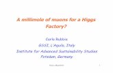 A millimole of muons for a Higgs Factory?icarus.lngs.infn.it/serwer/conferences/Conferences2013/...1! A millimole of muons for a Higgs Factory? Carlo Rubbia GSSI, L’Aquila, Italy