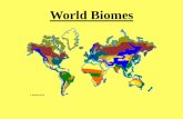 World Biomesmarissachurch.weebly.com/uploads/1/9/5/6/1956266/biome_presentation.pdf · More diversity in the deciduous forest vs. the coniferous forest due to increased sunlight.