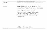 GAO-02-382 Medicare Home Health Agencies: Weaknesses in Federal … · 2011-09-29 · Report to Congressional Committees United States General Accounting Office GAO July 2002 MEDICARE